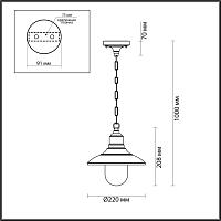 Уличный подвесной светильник Odeon Light Nature Campa 4965/1