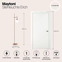 Дополнительная картинка Торшер Maytoni Erich MOD221-FL-01-G
