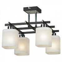 Дополнительная картинка Потолочная люстра Lussole Costanzo LSL-9007-04