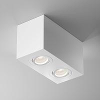 Дополнительная картинка Потолочный светильник Technical C017CL-02W