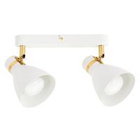 Потолочный светильник Arte Lamp FAFNIR A5047PL-2WH