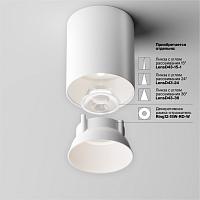 Дополнительная картинка Потолочный светильник Technical C064CL-12W4K-RD-WB