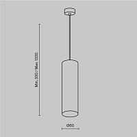 Дополнительная картинка Подвесной светильник Technical P075PL-01MG