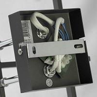 Дополнительная картинка Потолочная люстра Lussole Costanzo LSL-9007-04