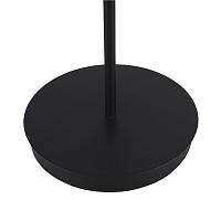 Дополнительная картинка SL6210.405.02 Светильник напольный ST-Luce 