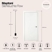 Дополнительная картинка Напольный светильник (торшер) Maytoni MOD147FL-L20BK1