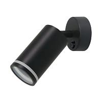 Настенно-потолочный светильник Arte Lamp IMAI A2365AP-1BK