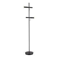 Дополнительная картинка SL6210.405.02 Светильник напольный ST-Luce 