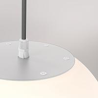 Дополнительная картинка Подвесной светильник Outdoor O594PL-01B