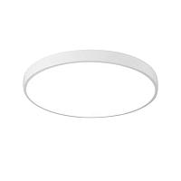 Дополнительная картинка Потолочный светодиодный светильник Arte Lamp Arena A2671PL-1WH