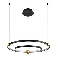Дополнительная картинка Подвесной светодиодный светильник Divinare Amadeo 1123/04 SP-65