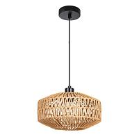 Дополнительная картинка Подвесной светильник Arte Lamp BRUSHWOOD A7087SP-1BK