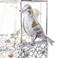 Дополнительная картинка Настенный светильник Arte Lamp Cincia A5090AP-1WG