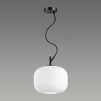 Дополнительная картинка Подвесной светильник Odeon Light Pendant Roofi 4753/1