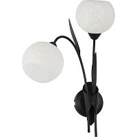 Дополнительная картинка Бра Lussole Bagheria GRLSF-6291-02