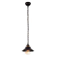 Дополнительная картинка Подвесной светильник Arte Lamp Grazioso A4577SP-1CK