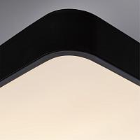Дополнительная картинка Потолочный светильник Arte Lamp A2663PL-1BK