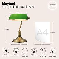 Дополнительная картинка Настольная лампа Maytoni Kiwi Z153-TL-01-BS