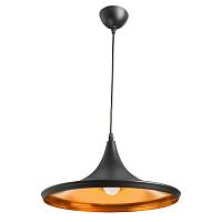 Дополнительная картинка Подвесной светильник Arte Lamp Cappello A3406SP-1BK