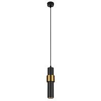 Дополнительная картинка Подвесной светильник Arte Lamp RAN A3144SP-1BK