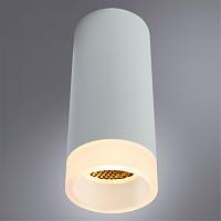 Дополнительная картинка Потолочный светильник Arte Lamp Ogma A5556PL-1WH