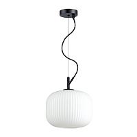 Дополнительная картинка Подвесной светильник Odeon Light Pendant Roofi 4753/1