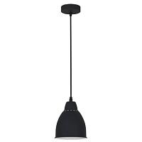 Дополнительная картинка Подвесной светильник Arte Lamp Braccio A2054SP-1BK