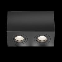 Дополнительная картинка Потолочный светильник Technical C017CL-02B