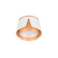 Дополнительная картинка Потолочный светильник Arte Lamp AMAKS A8028PL-1WH