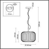 Дополнительная картинка Подвесной светильник Odeon Light Pendant Roofi 4754/1