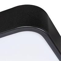 Дополнительная картинка Потолочный светодиодный светильник Arte Lamp Scena A2669PL-1BK