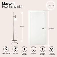 Дополнительная картинка Торшер Maytoni Erich MOD221-FL-01-N
