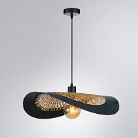 Дополнительная картинка Подвесной светильник Arte Lamp WOODSTOCK A7059SP-1BK