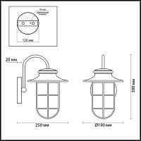Дополнительная картинка Уличный настенный светильник Odeon Light Nature Helm 4171/1W