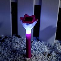 USL-C-420/PT305 PINK CROCUS Садовый светильник на солнечной батарее. Белый свет. 1*LR Ni-Mh аккумулятор в/к. IP44. TM Uniel.