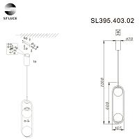 Дополнительная картинка Подвесной светодиодный светильник ST Luce SL395.403.02