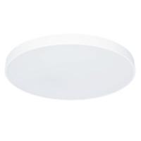 Дополнительная картинка Потолочный светодиодный светильник Arte Lamp Arena A2671PL-1WH