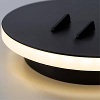 Дополнительная картинка Бра Arte Lamp Electra A8231AP-1BK