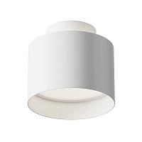 Дополнительная картинка Потолочный светильник Technical C009CW-L12W4K