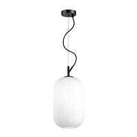 Дополнительная картинка Подвесной светильник Odeon Light Pendant Roofi 4751/1