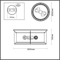 Дополнительная картинка Уличный светильник Odeon Light Nature Mavret 4961/2C