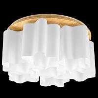 Дополнительная картинка Потолочная люстра Lightstar Nubi Legno 802075