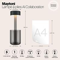 Дополнительная картинка Аккумуляторный светильник Maytoni MOD229TL-L3B3K3