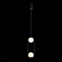 Дополнительная картинка Подвесной светодиодный светильник ST Luce SL395.403.02