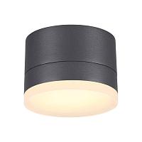 Дополнительная картинка Уличный светодиодный светильник Novotech Street Kaimas 358084