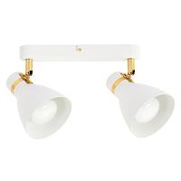 Дополнительная картинка Потолочный светильник Arte Lamp FAFNIR A5047PL-2WH