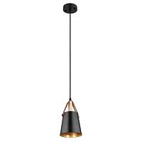 Дополнительная картинка Светильник подвесной Arte Lamp THOMAS A7032SP-1BK