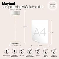 Дополнительная картинка Аккумуляторный светильник Maytoni MOD229TL-L3W3K2