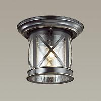 Дополнительная картинка Уличный светильник Odeon Light Nature Sation 4045/1C