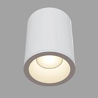 Дополнительная картинка Потолочный светильник Maytoni Antares C029CL-01W
